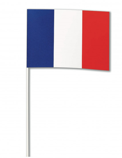 Bandeira papel França 14 x 21 cm 1